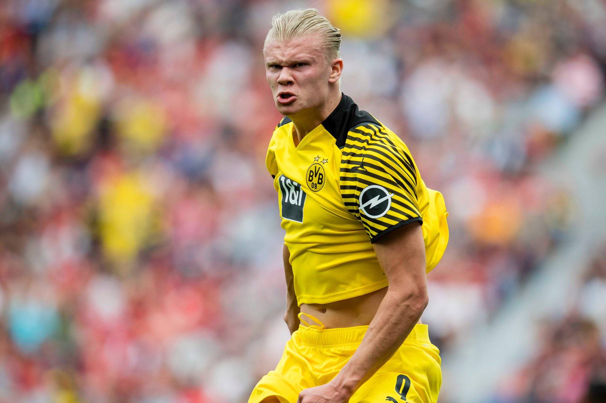 半场战报：维罗纳0-1帕尔马，马特奥-佩莱格里诺破门（半场战况：帕尔马1-0领先维罗纳，马特奥-佩莱格里诺建功）